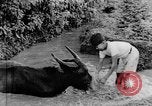 Standbild Wunder der Welt Java Indonesien, 1937, aus Sekunde 50 historischem Filmmaterial Videoclip 65675043499