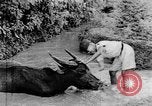 Standbild Wunder der Welt Java Indonesien, 1937, aus Sekunde 51 historischem Filmmaterial Videoclip 65675043499