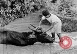 Standbild Wunder der Welt Java Indonesien, 1937, aus Sekunde 52 historischem Filmmaterial Videoclip 65675043499