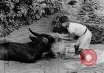 Standbild Wunder der Welt Java Indonesien, 1937, aus Sekunde 54 historischem Filmmaterial Videoclip 65675043499