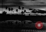 Image of Dances Bali Indonesia, 1937, second 50 stock footage video 65675043501