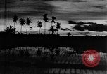 Image of Dances Bali Indonesia, 1937, second 51 stock footage video 65675043501