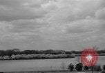 Image of Cherry blossom trees Washington DC USA, 1950, second 4 stock footage video 65675043504