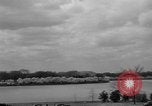 Image of Cherry blossom trees Washington DC USA, 1950, second 5 stock footage video 65675043504