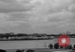Image of Cherry blossom trees Washington DC USA, 1950, second 8 stock footage video 65675043504