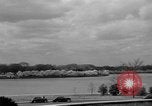 Image of Cherry blossom trees Washington DC USA, 1950, second 10 stock footage video 65675043504