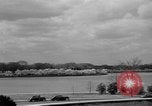 Image of Cherry blossom trees Washington DC USA, 1950, second 11 stock footage video 65675043504