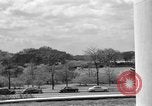 Image of Cherry blossom trees Washington DC USA, 1950, second 12 stock footage video 65675043504