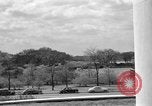 Image of Cherry blossom trees Washington DC USA, 1950, second 13 stock footage video 65675043504