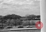 Image of Cherry blossom trees Washington DC USA, 1950, second 14 stock footage video 65675043504