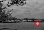 Image of Cherry blossom trees Washington DC USA, 1950, second 28 stock footage video 65675043504