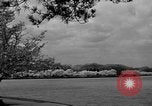 Image of Cherry blossom trees Washington DC USA, 1950, second 29 stock footage video 65675043504