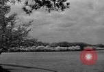 Image of Cherry blossom trees Washington DC USA, 1950, second 31 stock footage video 65675043504