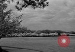 Image of Cherry blossom trees Washington DC USA, 1950, second 32 stock footage video 65675043504