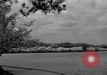 Image of Cherry blossom trees Washington DC USA, 1950, second 33 stock footage video 65675043504
