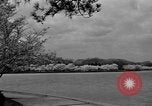 Image of Cherry blossom trees Washington DC USA, 1950, second 35 stock footage video 65675043504