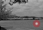 Image of Cherry blossom trees Washington DC USA, 1950, second 36 stock footage video 65675043504