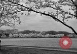 Image of Cherry blossom trees Washington DC USA, 1950, second 40 stock footage video 65675043504