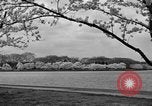 Image of Cherry blossom trees Washington DC USA, 1950, second 44 stock footage video 65675043504