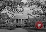 Image of Cherry blossom trees Washington DC USA, 1950, second 47 stock footage video 65675043504