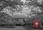 Image of Cherry blossom trees Washington DC USA, 1950, second 49 stock footage video 65675043504