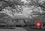 Image of Cherry blossom trees Washington DC USA, 1950, second 50 stock footage video 65675043504