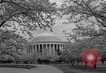 Image of Cherry blossom trees Washington DC USA, 1950, second 52 stock footage video 65675043504