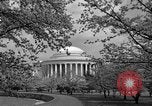 Image of Cherry blossom trees Washington DC USA, 1950, second 55 stock footage video 65675043504