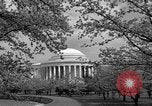 Image of Cherry blossom trees Washington DC USA, 1950, second 58 stock footage video 65675043504