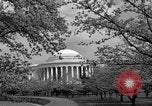 Image of Cherry blossom trees Washington DC USA, 1950, second 61 stock footage video 65675043504