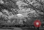 Image of Cherry blossom trees Washington DC USA, 1950, second 62 stock footage video 65675043504