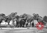 Immagine di Il Ringling Brothers Circus Sarasota Florida USA, 1938, secondo 10 filmato di repertorio 65675043527