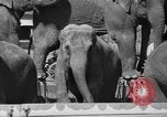Immagine di Il Ringling Brothers Circus Sarasota Florida USA, 1938, secondo 13 filmato di repertorio 65675043527