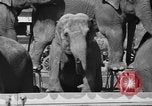 Immagine di Il Ringling Brothers Circus Sarasota Florida USA, 1938, secondo 14 filmato di repertorio 65675043527