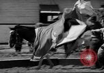 Immagine di Il Ringling Brothers Circus Sarasota Florida USA, 1938, secondo 26 filmato di repertorio 65675043527
