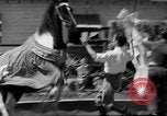 Immagine di Il Ringling Brothers Circus Sarasota Florida USA, 1938, secondo 28 filmato di repertorio 65675043527