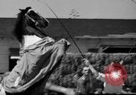 Immagine di Il Ringling Brothers Circus Sarasota Florida USA, 1938, secondo 29 filmato di repertorio 65675043527