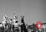 Immagine di Il Ringling Brothers Circus Sarasota Florida USA, 1938, secondo 31 filmato di repertorio 65675043527