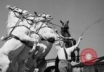 Immagine di Il Ringling Brothers Circus Sarasota Florida USA, 1938, secondo 36 filmato di repertorio 65675043527