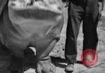 Immagine di Il Ringling Brothers Circus Sarasota Florida USA, 1938, secondo 45 filmato di repertorio 65675043527