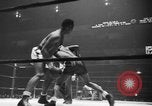 Immagine di Golden Glove finalisti New York United States USA, 1938, secondo 45 filmato di repertorio 65675043529