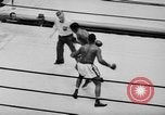 Immagine di Golden Glove finalisti New York United States USA, 1938, secondo 48 filmato di repertorio 65675043529