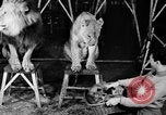Standbild Big Polizei Circus Rochester Indiana USA, 1938, aus Sekunde 13 historischem Filmmaterial Videoclip 65675043531