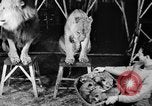 Standbild Big Polizei Circus Rochester Indiana USA, 1938, aus Sekunde 15 historischem Filmmaterial Videoclip 65675043531