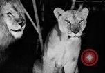 Standbild Big Polizei Circus Rochester Indiana USA, 1938, aus Sekunde 16 historischem Filmmaterial Videoclip 65675043531