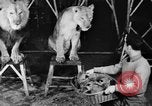 Standbild Big Polizei Circus Rochester Indiana USA, 1938, aus Sekunde 20 historischem Filmmaterial Videoclip 65675043531