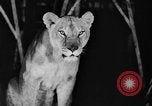 Standbild Big Polizei Circus Rochester Indiana USA, 1938, aus Sekunde 24 historischem Filmmaterial Videoclip 65675043531