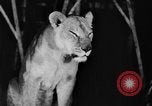 Standbild Big Polizei Circus Rochester Indiana USA, 1938, aus Sekunde 25 historischem Filmmaterial Videoclip 65675043531