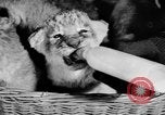 Standbild Big Polizei Circus Rochester Indiana USA, 1938, aus Sekunde 26 historischem Filmmaterial Videoclip 65675043531