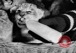 Standbild Big Polizei Circus Rochester Indiana USA, 1938, aus Sekunde 28 historischem Filmmaterial Videoclip 65675043531